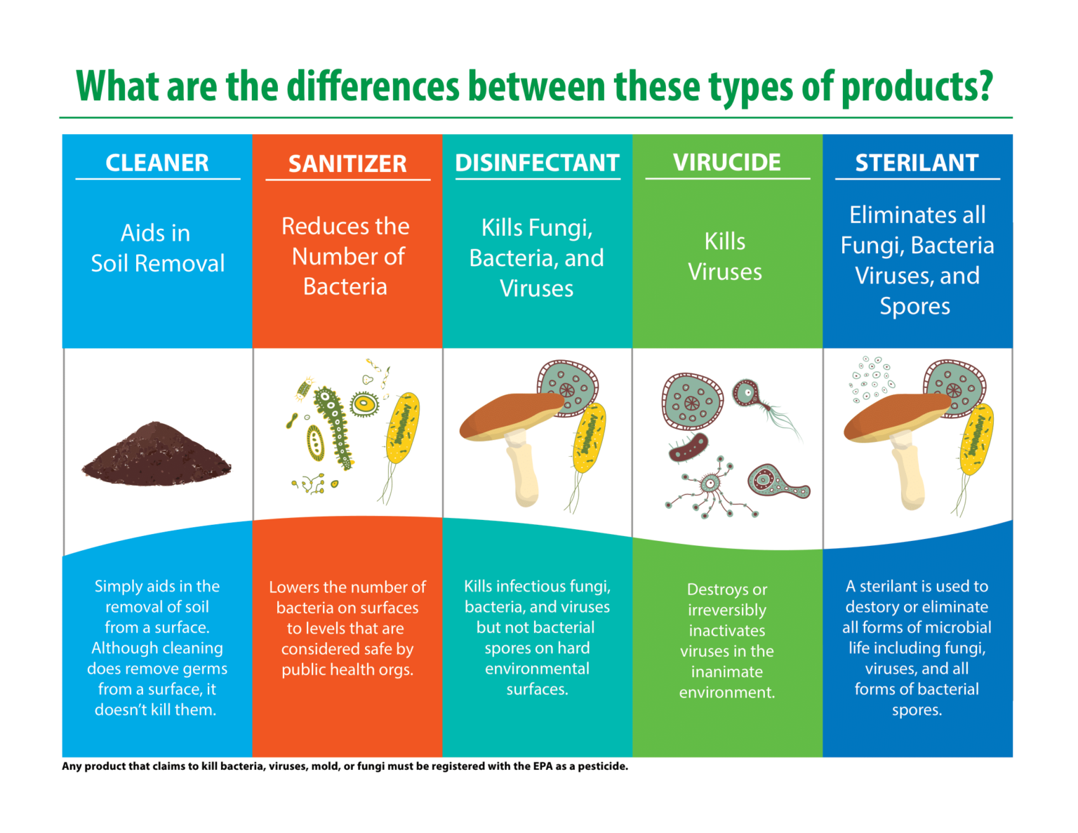 Types of products. Pesticides what is. Spores of bacteria. Types of viruses. Describe viruses and bacteria.
